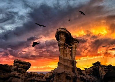 日落时飞过褐色岩石地层的鸟